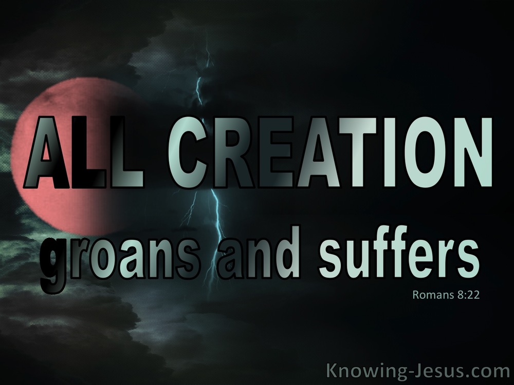 What Does Romans 8 22 Mean 
